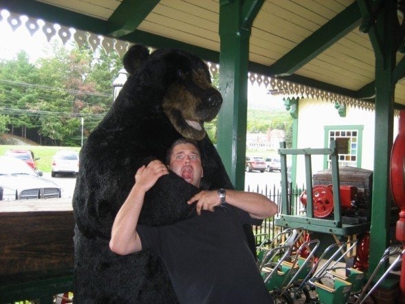 bear